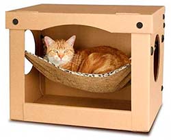Дом для кошки кошкин дом